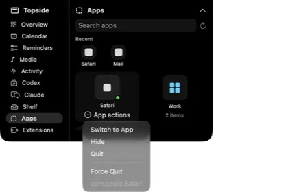 Topside nested app dock